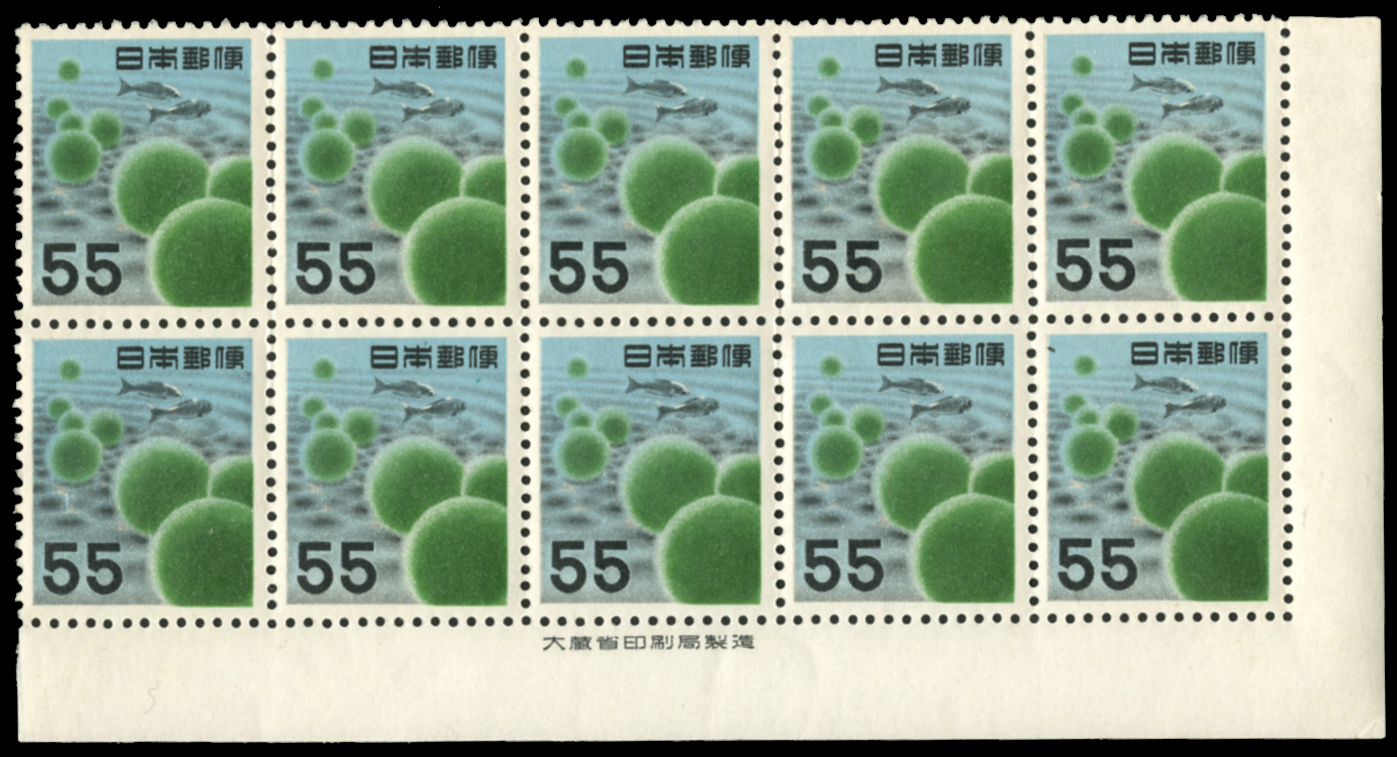 Lot No.187